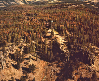 Mt Pine Beetle infestation - Johnson Rock LO - 1971